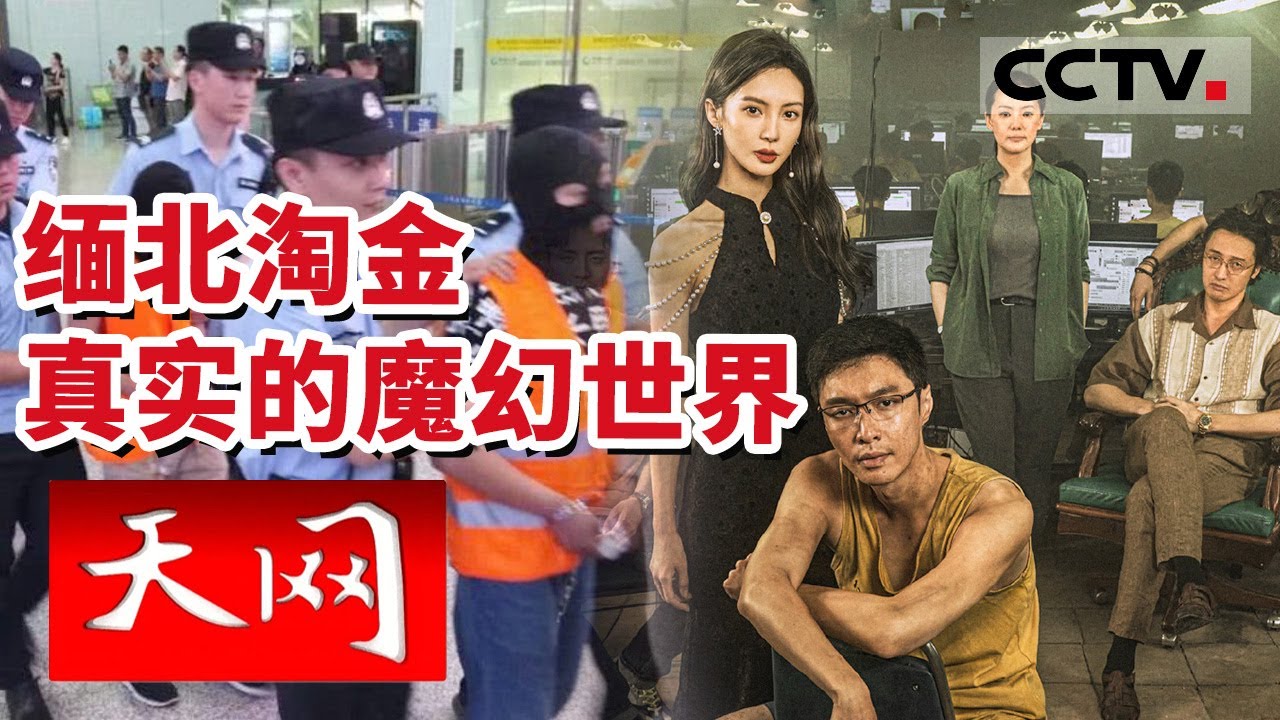《天网》缅北四大家族忏悔！反诈清零行动正在进行 20230613 | CCTV社会与法