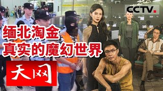 《天网》现实版孤注一掷！涉案1292人 男子亲述被骗缅甸务工细节 贩毒 诈骗 卖淫 被拿枪威胁......20230613 | CCTV社会与法