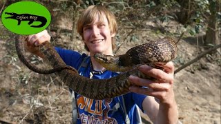 Catching a MASSIVE River Snake!