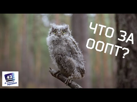 Особо охраняемые природные территории