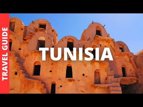 دليل السفر إلى تونس أفضل 20 مكان ا للزيارة والأنشطة في تونس