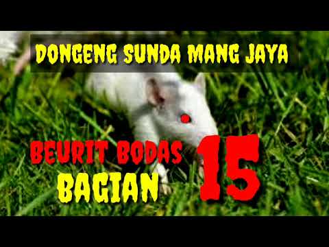 Dongeng Sunda Mang jaya Beurit Bodas Bagian 15 @AZchannel03