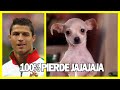 EL 100% PIERDE LA BATALLA ⚽los mejores MEMES DE FUTBOL🤪