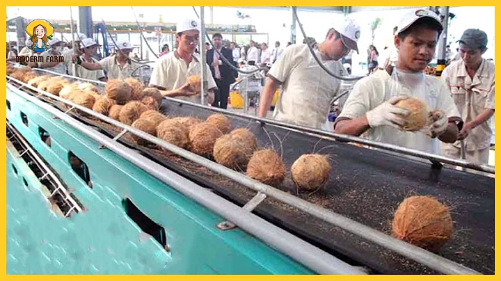 Amazing Modern Coconut Farming Technology. Modern Coconut Processing Factory. Coconut Oil Production
