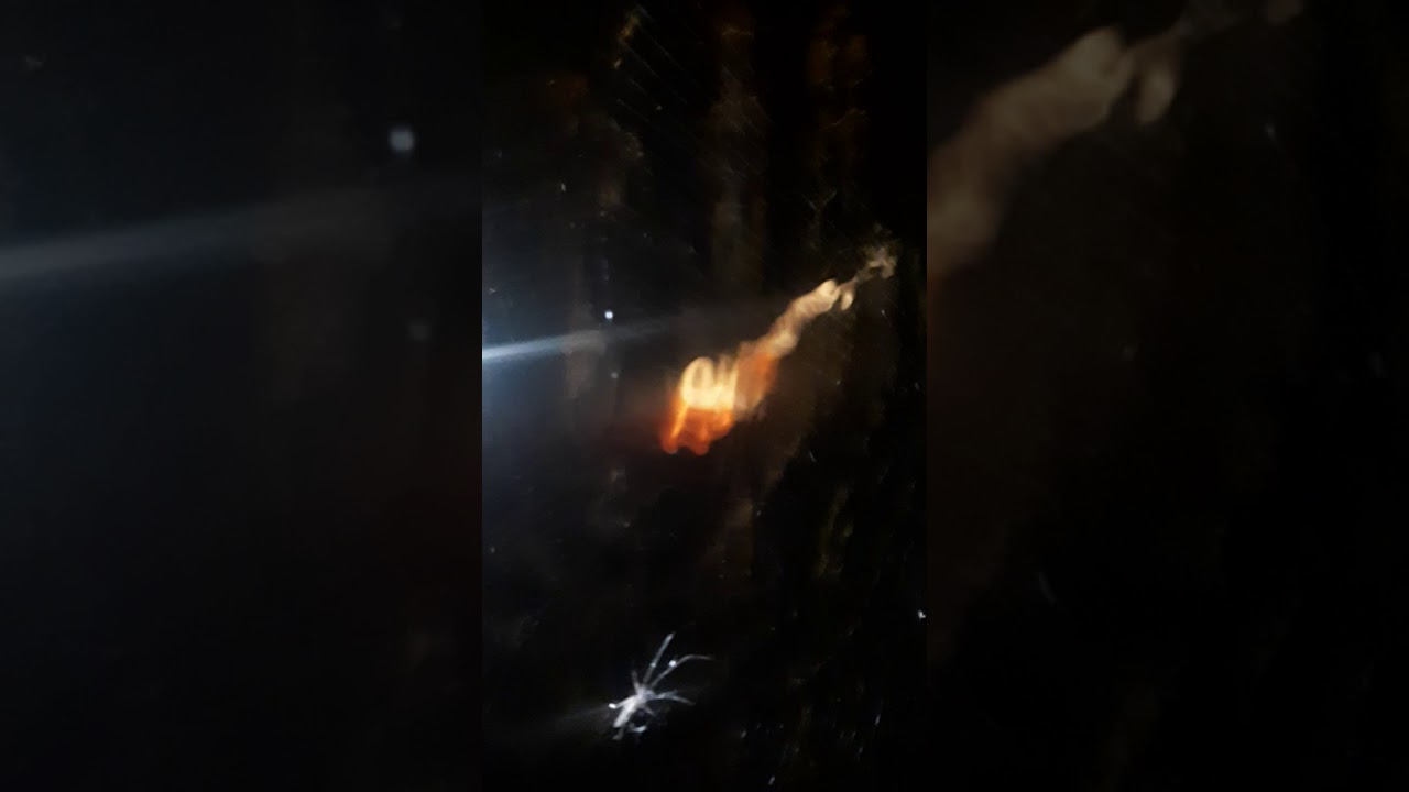 Koi fish active at night - YouTube