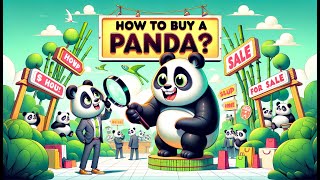 How to Buy a Panda: The Ultimate Guide | Panda Explains