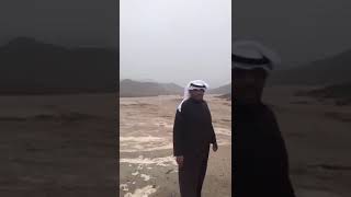 سيل وادي النجيل بين العلا والوجه احد روافد وادي الجزل