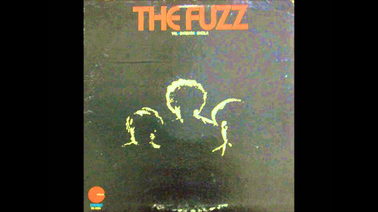 THE FUZZ / THE FUZZ (LP) - HIP TANK RECORDS