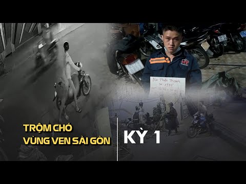 Video Táo tợn trộm chó ở vùng ven Sài Gòn - Kỳ 1: Hở ra là…... - youtube