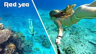 february underwater swimming in Red sea