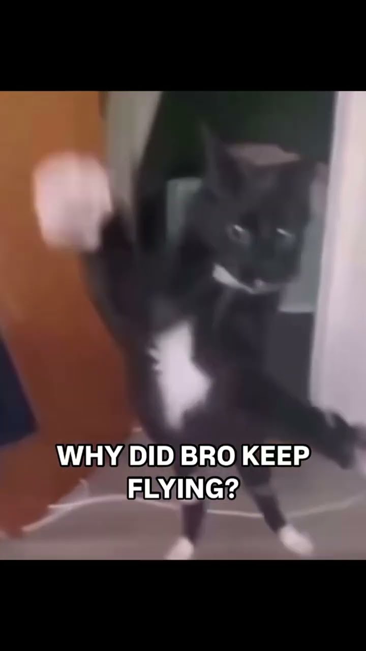 When you just vibing and that prvnci makes you fly to the sky