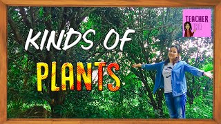 Kinds of Plants  | Science Vlog for Kids  | Teacher Ira