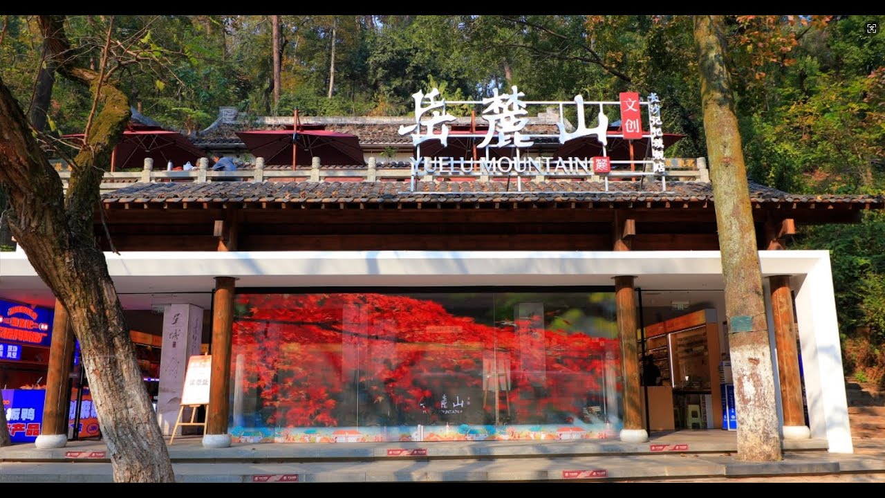Red leaves are like fire, blooming in the sky Transparent aesthetics reflect the red leaves