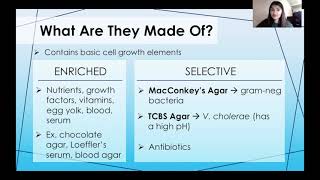 Techtalk Microbiology Culture Mediums
