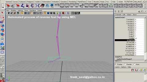 Automated Reverse Foot setup in Maya