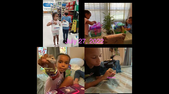 Grannie and the Kids. The kids get hamsters from P...
