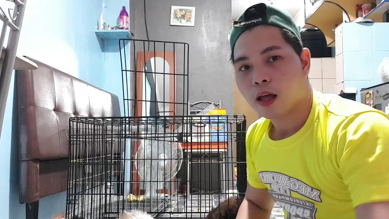 CAGE FOR PUPPIES : SUPER MURA