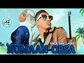 Galataa Labuu Numaan Obsa New Oromo Music Guitar Official Music