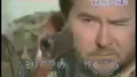 Can this Japanese Katana cut a flying bullet?