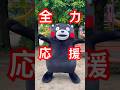 📣くまモンの全力応援❤️‍🔥 #超特急 #ガチ夢中！ #踊ってみた #dance #shorts #くまモン #kumamon