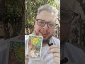CARTA DO DIA - TARÔ #taro #tarot #carta #sorte #tiragem