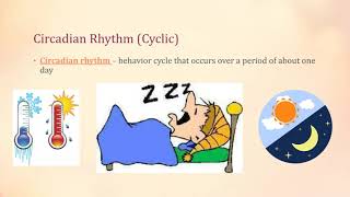 Behavioral Adaptations