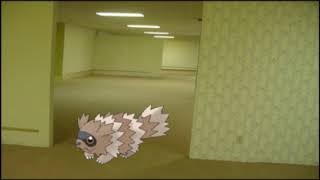 Zigzagoon In The Backrooms