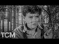 Jem, Scout and Dill Spy on Atticus in Court (Clip) | To Kill a Mockingbird (1962) | TCM