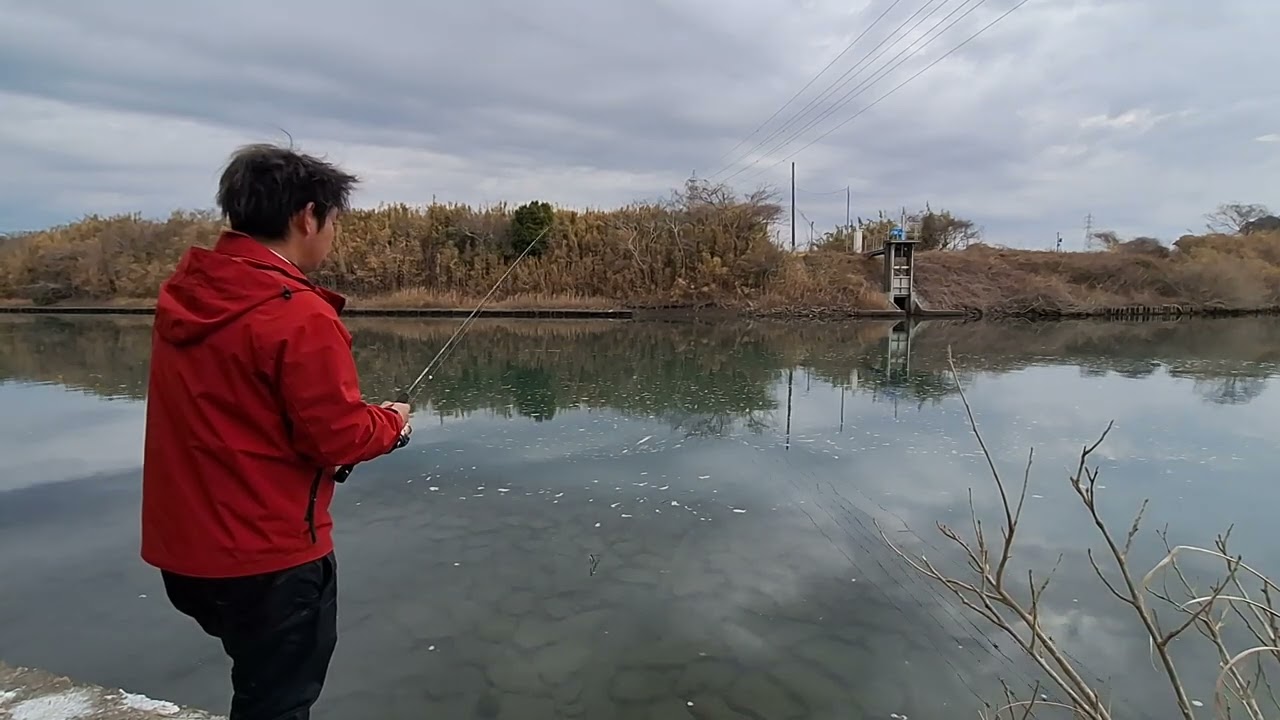 ヒカル社長ライトゲーム、ミニミノー‼️