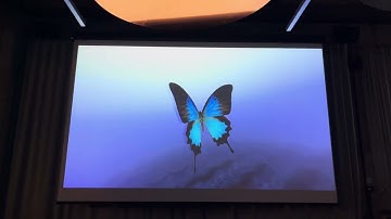 Xenium 2025 - Butterfly by DJ live at Demo compo
