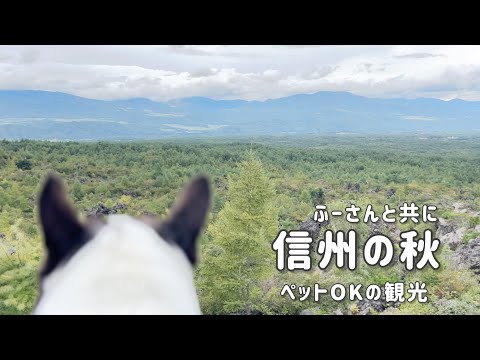 高いところに登りたがる私達/秋/長野観光/ソラテラス/鬼押し出し園