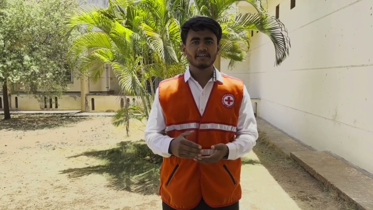 Fun meets Impact: Gamifying Volunteering for a Better World