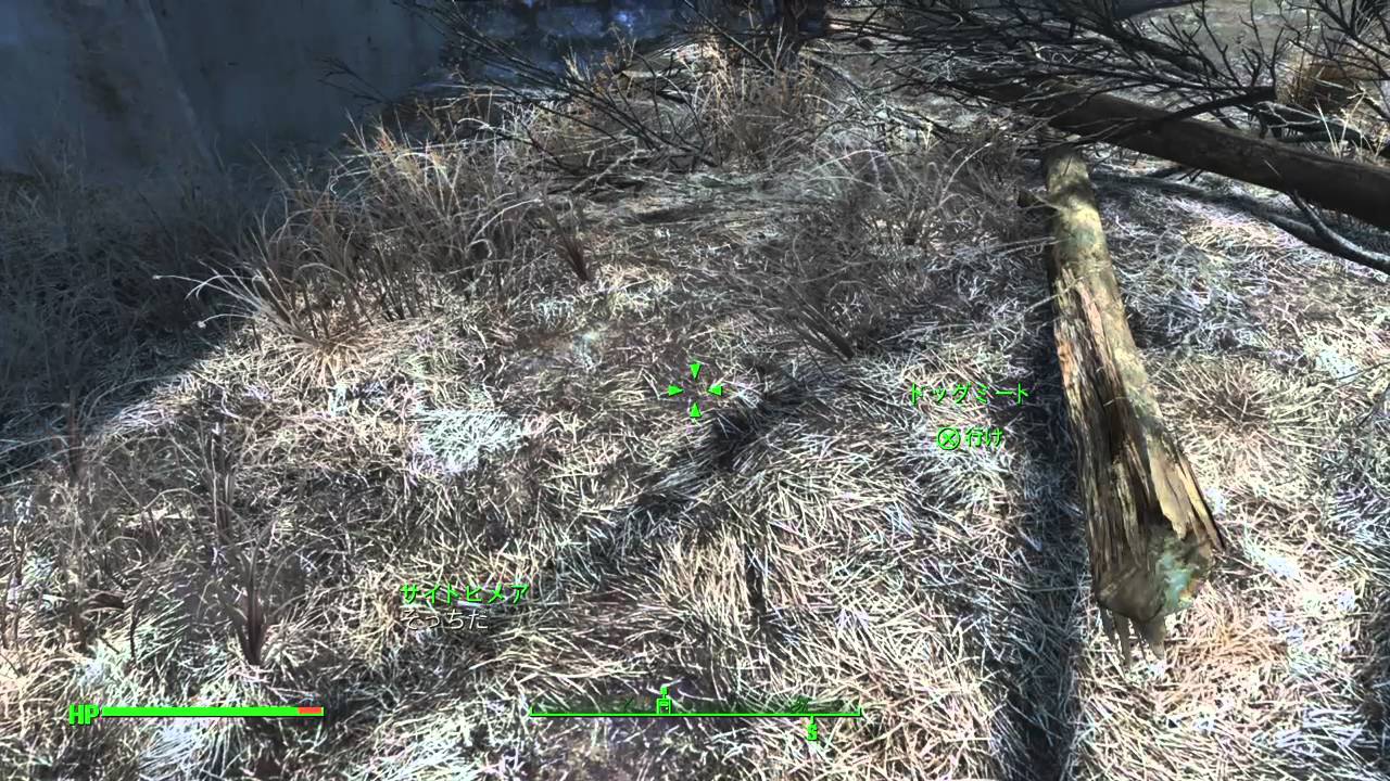 Fallout 4_dog meet付いてこないbug - YouTube
