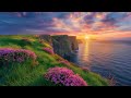 Zen Healing Music, Stress Release Music, Background Music, Calming Music for Anxiety, Sleeping Music