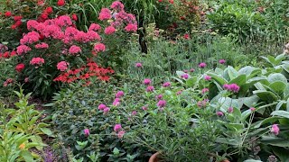 August 2021 Garden Tour