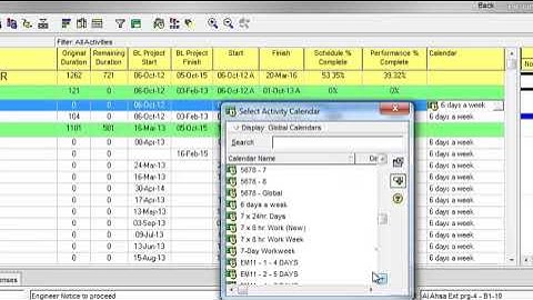 How to use fill down and its purpose in primavera p6
