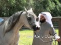 حصــريا أنشودة وهو الحيى للمنشد مشارى راشد العفاسى 2013 رائــــعه جدا