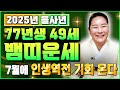 2025년 1977년생 48세 뱀띠운세 사람으로 인해 받은 상처 모두 보상받는다 귀인과 금전 문서까지 한꺼번에 보상받는 77년생 뱀띠 운세 2025년 대박나는 48세 뱀띠운세