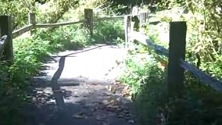VID00037