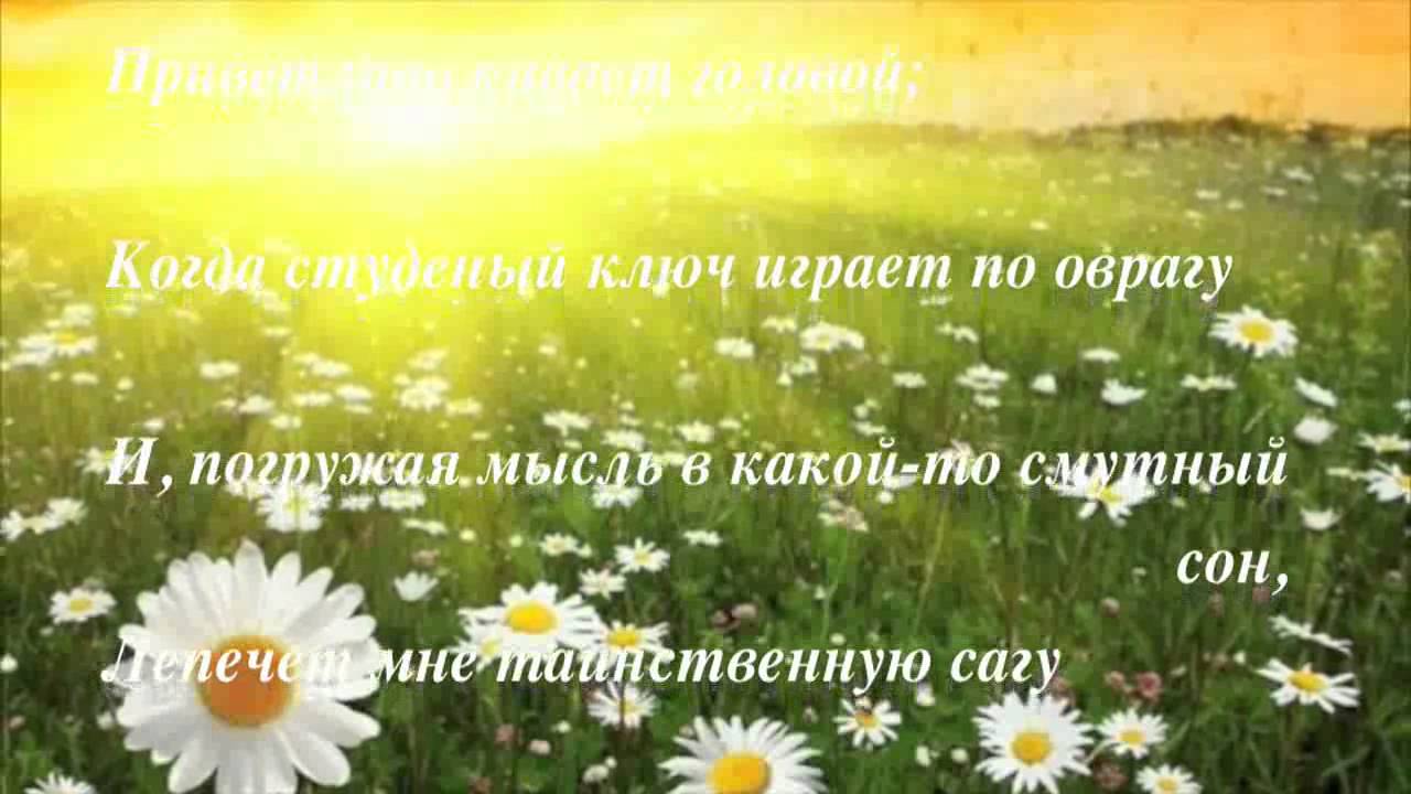 Желтеющая нива что это