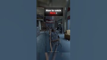 Can You Catch Nora Before She Escapes?