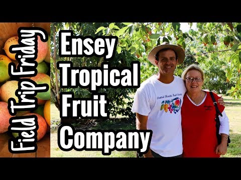 Field Trip Friday- Ensey Tropical Fruit Company (Merritt Island, FL)