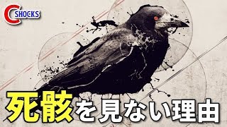 【衝撃】頭のいいカラスの死骸を見ない本当の理由とは…