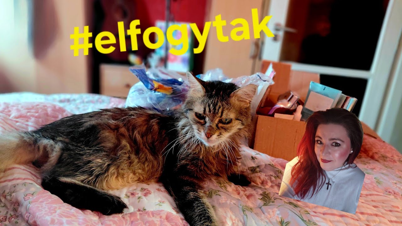 ELFOGYTAK✨️ /KIÉRTÉKELŐ  - PART 1 -🥳 2026/#02. /  Ajánlom? Bevált? ✨️  #ildikobeauty  #elfogytak