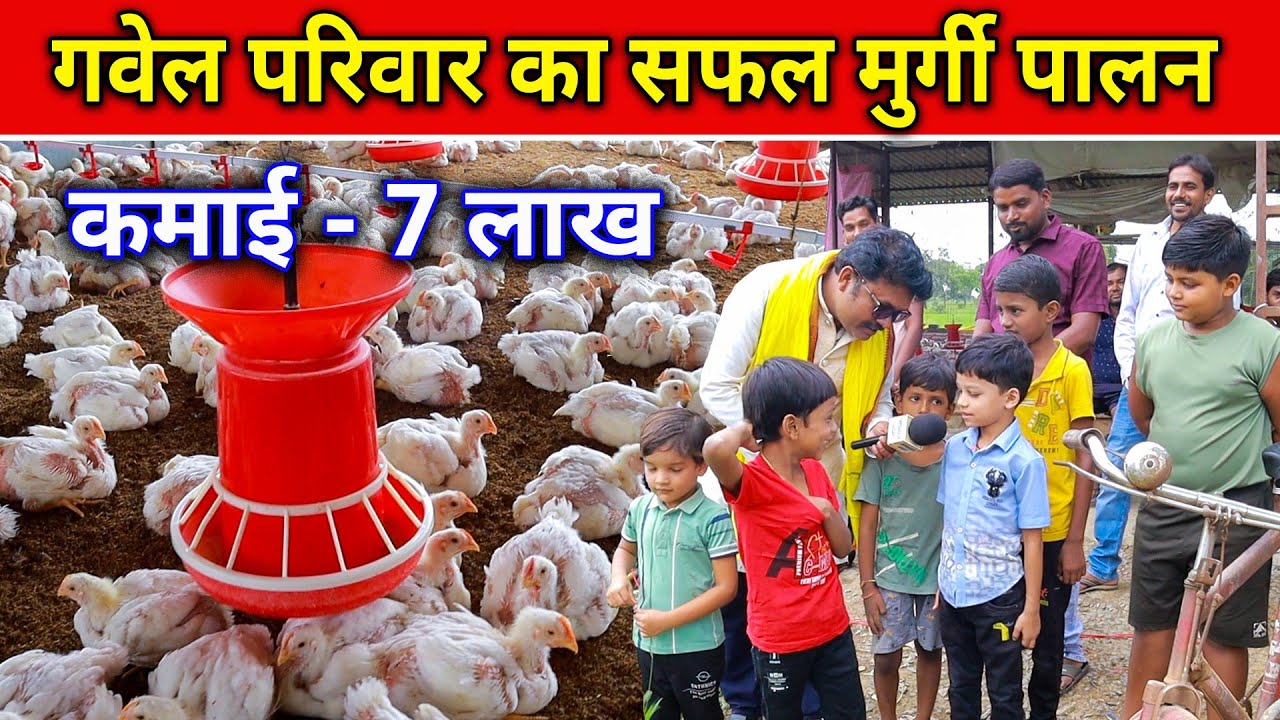 गवेल परिवार का सफल मुर्गी पालन।। Gavel family's successful poultry farming in Chhattisgarh ।।