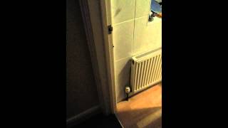 Crazy bathtime with the Mr screenshot 5