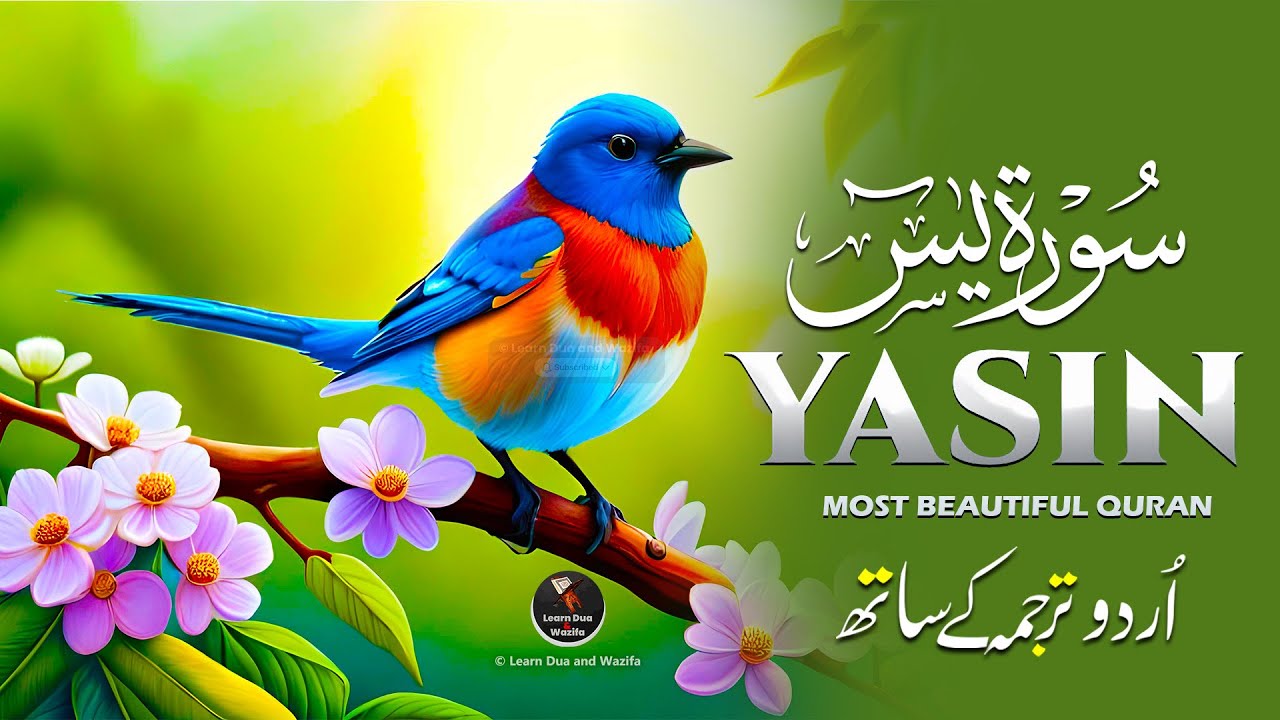 Surah Yaseen(Yasin) سورة يس | Ultimate Relaxing Quran Will Touch Your Heart إن شاء الله #surahyasin