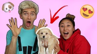 SURPRISING STEPHEN WITH A PUPPY!! (EMOTIONAL)