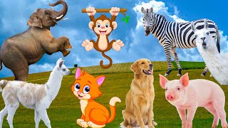 Animal food: cow, horse, pig, chicken, cat, duck - animal sounds - Part 7