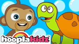 i had a little turtle kids songs and more hooplakidz